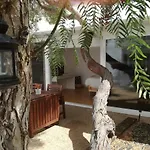Sorondongo & Garden * Puerto del Carmen (Lanzarote)