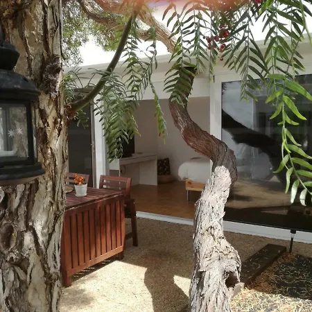 Sorondongo & Garden * Πουέρτο Ντελ Κάρμεν