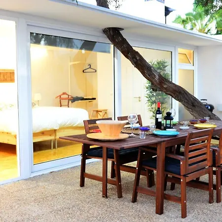 Sorondongo & Garden Puerto del Carmen (Lanzarote)